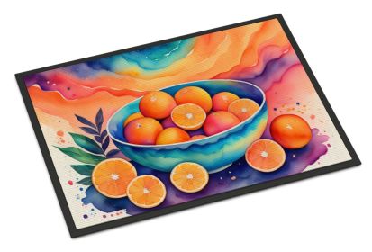 Colorful Oranges Doormat Front Door Mat Indoor Outdoor Rugs for Entryway, Non Slip Washable Low Pile, 24H X 36W